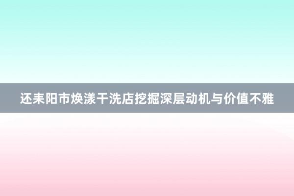 还耒阳市焕漾干洗店挖掘深层动机与价值不雅